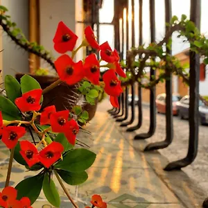 https://hotel-meson-de-maria.guatemalaantiguahotels.com
